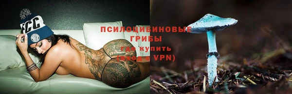 jwh Богородицк