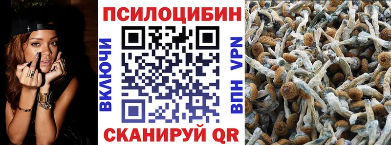Псилоцибиновые грибы прущие грибы  Горнозаводск 